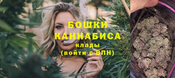 спайс Бородино