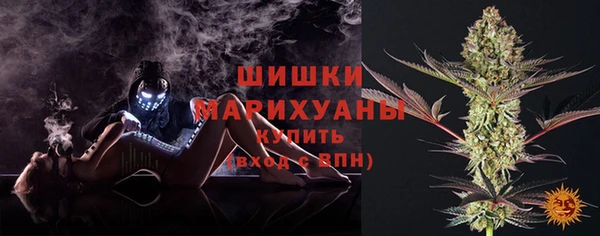 спайс Бородино